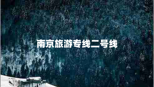 南京旅游专线二号线