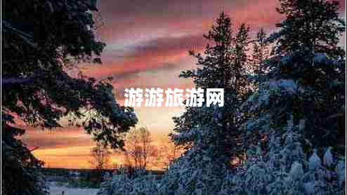 游游旅游网
