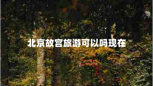 北京故宫旅游可以吗现在
