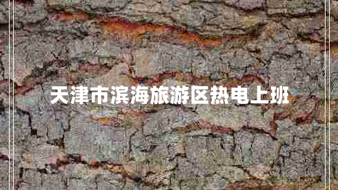 天津市滨海旅游区热电上班