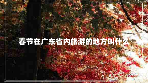 春节在广东省内旅游的地方叫什么