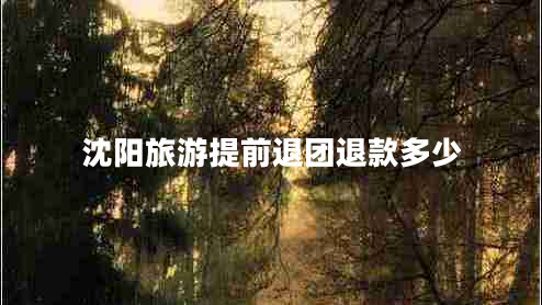 沈阳旅游提前退团退款多少