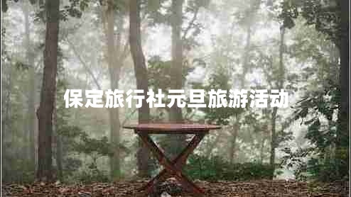 保定旅行社元旦旅游活动
