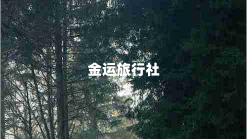 金运旅行社