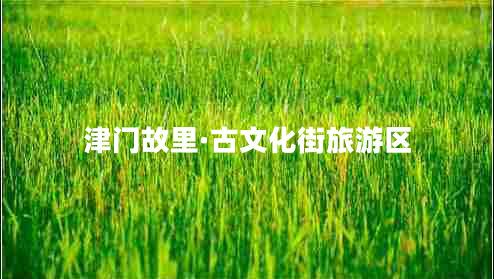 津门故里·古文化街旅游区