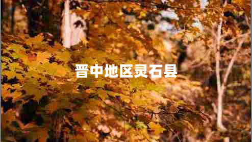 晋中地区灵石县