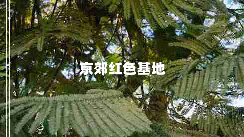 京郊红色基地