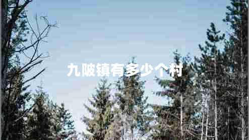 九陂镇有多少个村