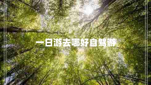 一日游去哪好自驾游