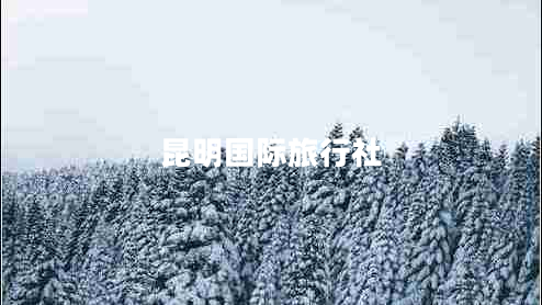 昆明国际旅行社 昆明国际旅行社