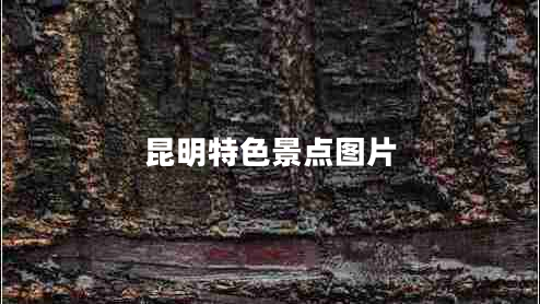 昆明特色景点图片