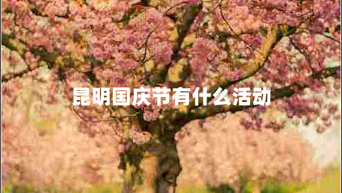 昆明国庆节有什么活动