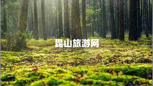 昆山旅游网