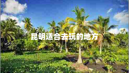 昆明适合去玩的地方