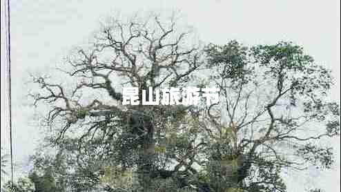昆山旅游节