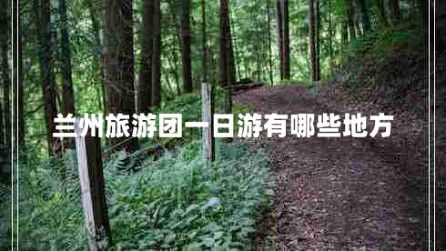 兰州旅游团一日游有哪些地方