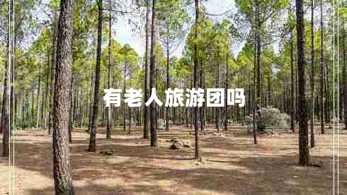 有老人旅游团吗