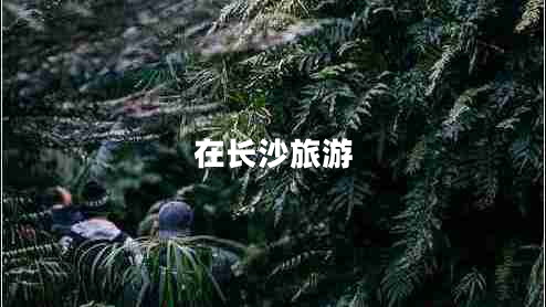 在长沙旅游