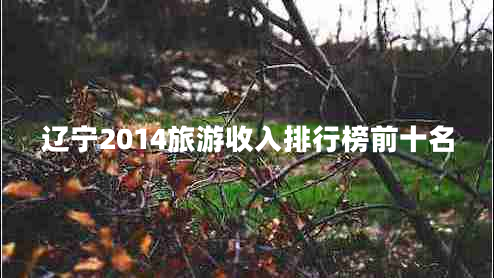 辽宁2014旅游收入排行榜前十名