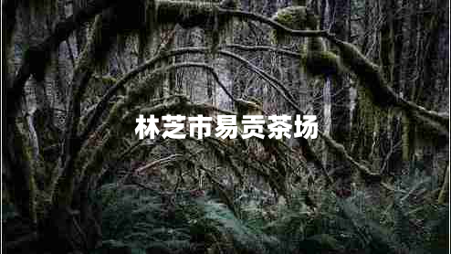 林芝市易贡茶场