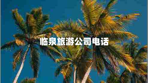临泉旅游公司电话