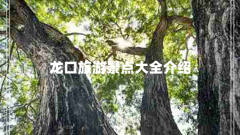 龙口旅游景点大全介绍