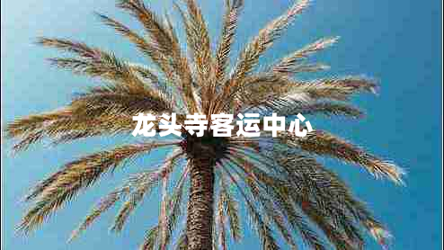 龙头寺客运中心