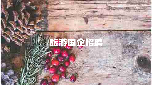 旅游国企招聘