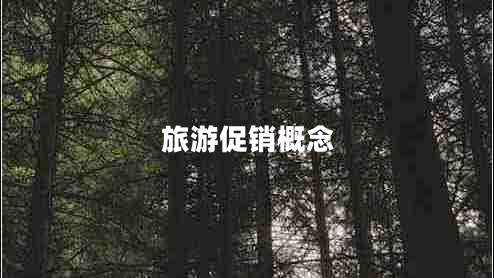 旅游促销概念