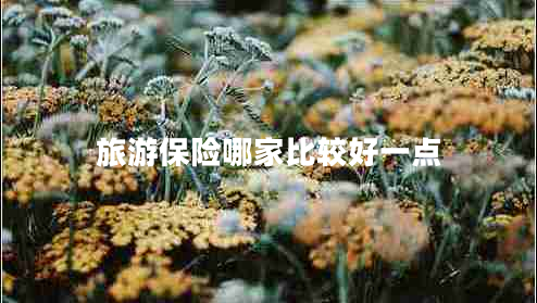 旅游保险哪家比较好一点