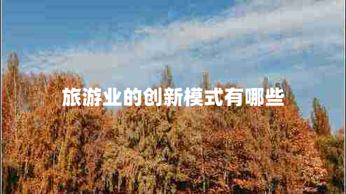 旅游业的创新模式有哪些