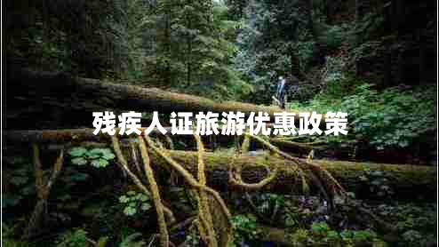 残疾人证旅游优惠政策
