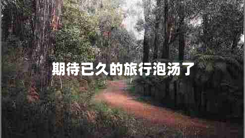 期待已久的旅行泡汤了