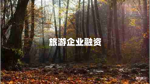 旅游企业融资