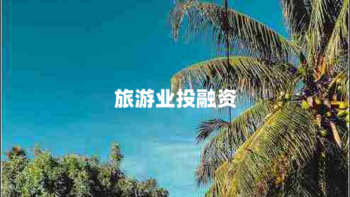 旅游业投融资