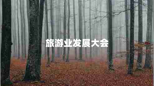旅游业发展大会