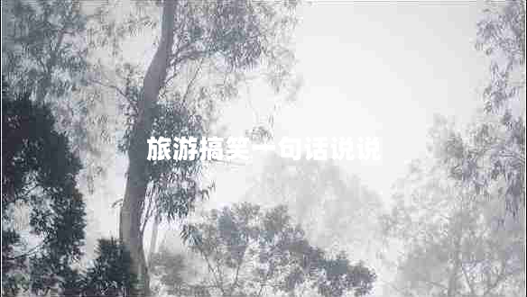 旅游搞笑一句话说说