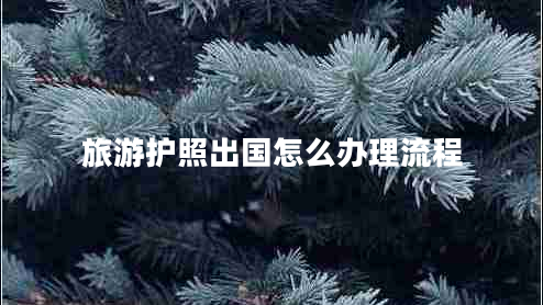 旅游护照出国怎么办理流程