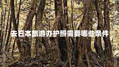 去日本旅游办护照需要哪些条件