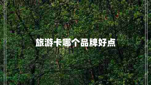 旅游卡哪个品牌好点