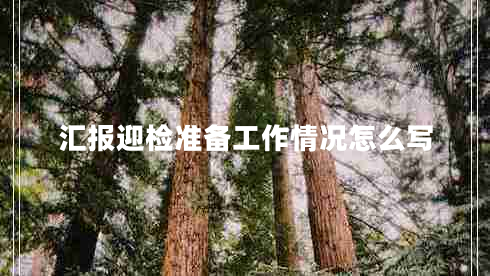 汇报迎检准备工作情况怎么写