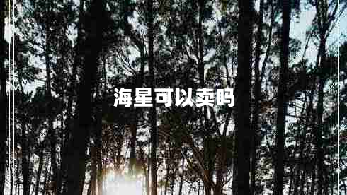 海星可以卖吗