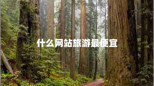 什么网站旅游最便宜