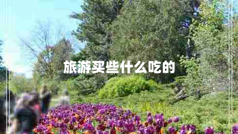 旅游买些什么吃的 旅游买些什么吃的