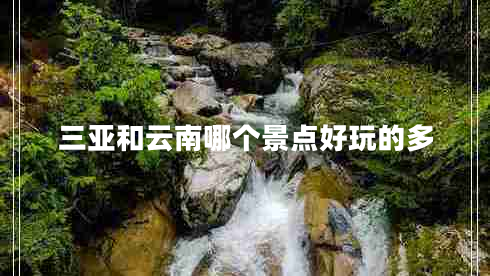 三亚和云南哪个景点好玩的多