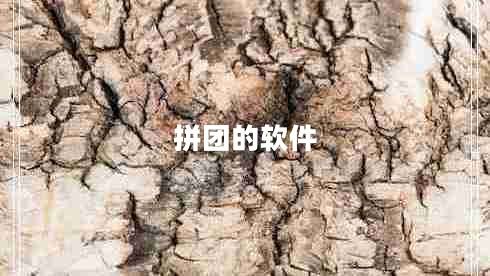 拼团的软件 拼团的软件