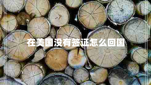 在美国没有签证怎么回国