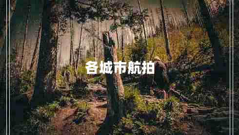 各城市航拍