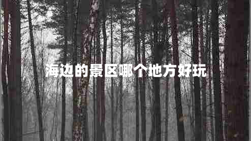 海边的景区哪个地方好玩