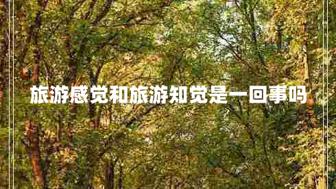 旅游感觉和旅游知觉是一回事吗